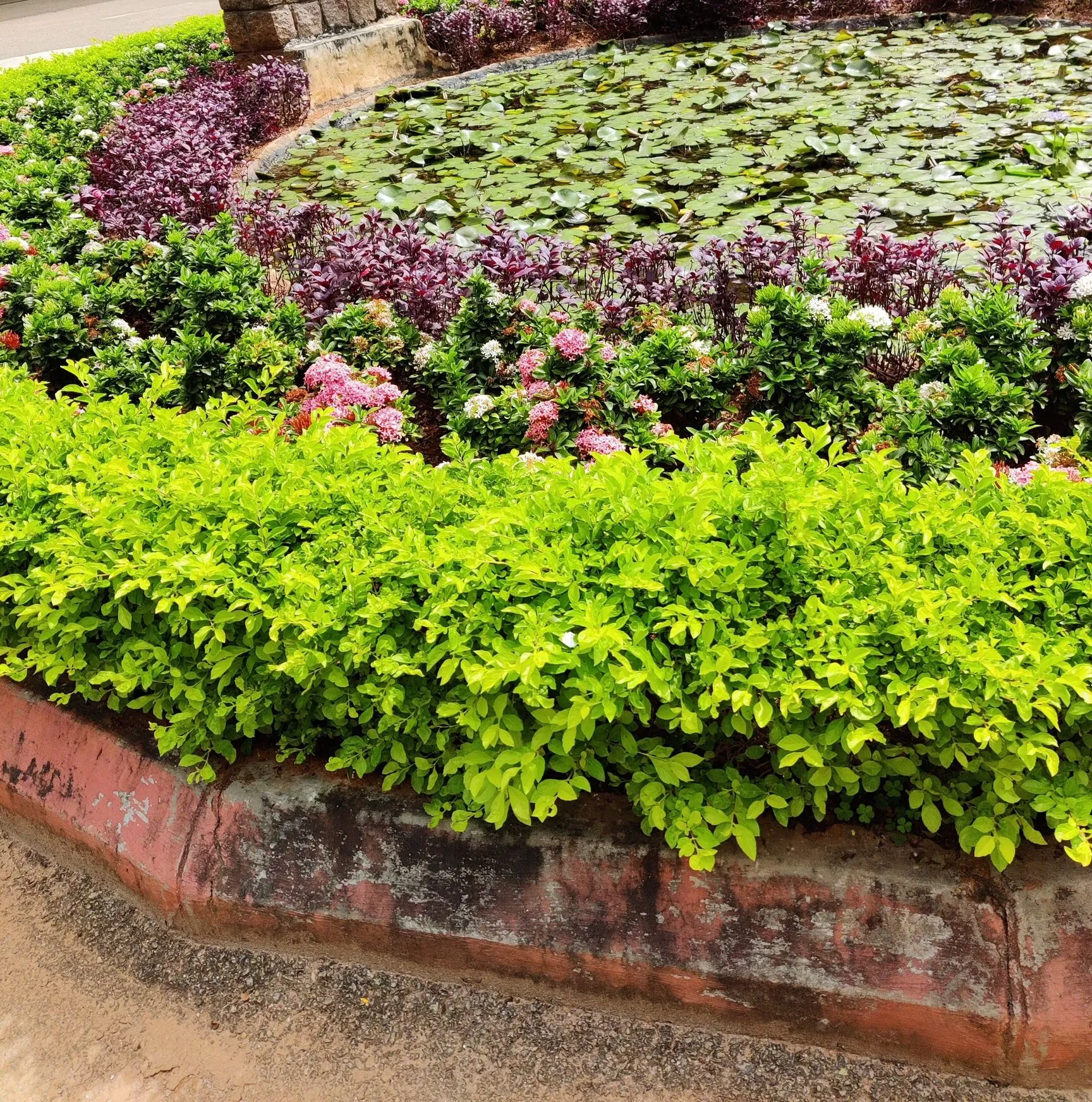 Image of: Maria Bhavan In Vilangudi
