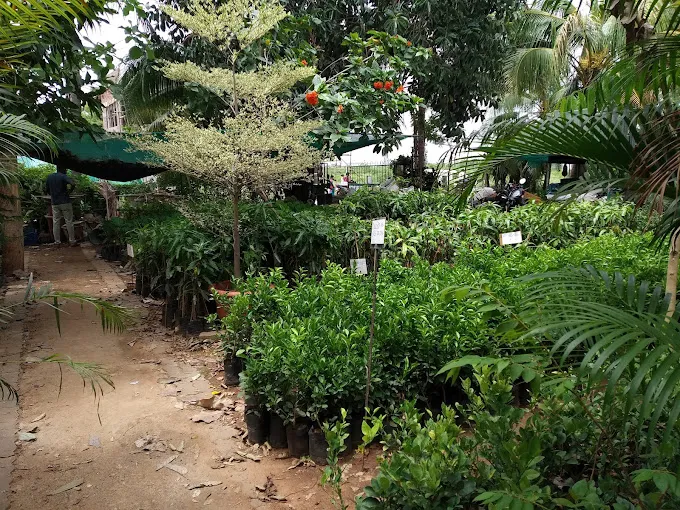 Image of: Matha Nursery Garden In Madurai