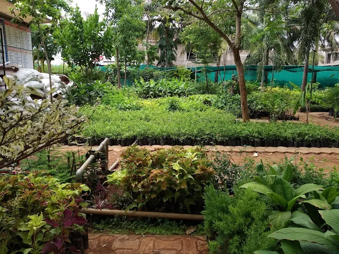 Image of: Matha Nursery Garden In Madurai 2