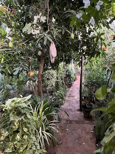 Image of: Mullai Nursery Garden In Madurai