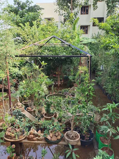 Image of: Mullai Nursery Garden In Madurai 3