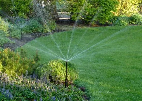 Image of: My Garden Home In Madurai