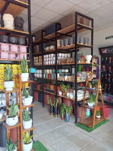 Image of: Nikhilesh Nursery In Madurai