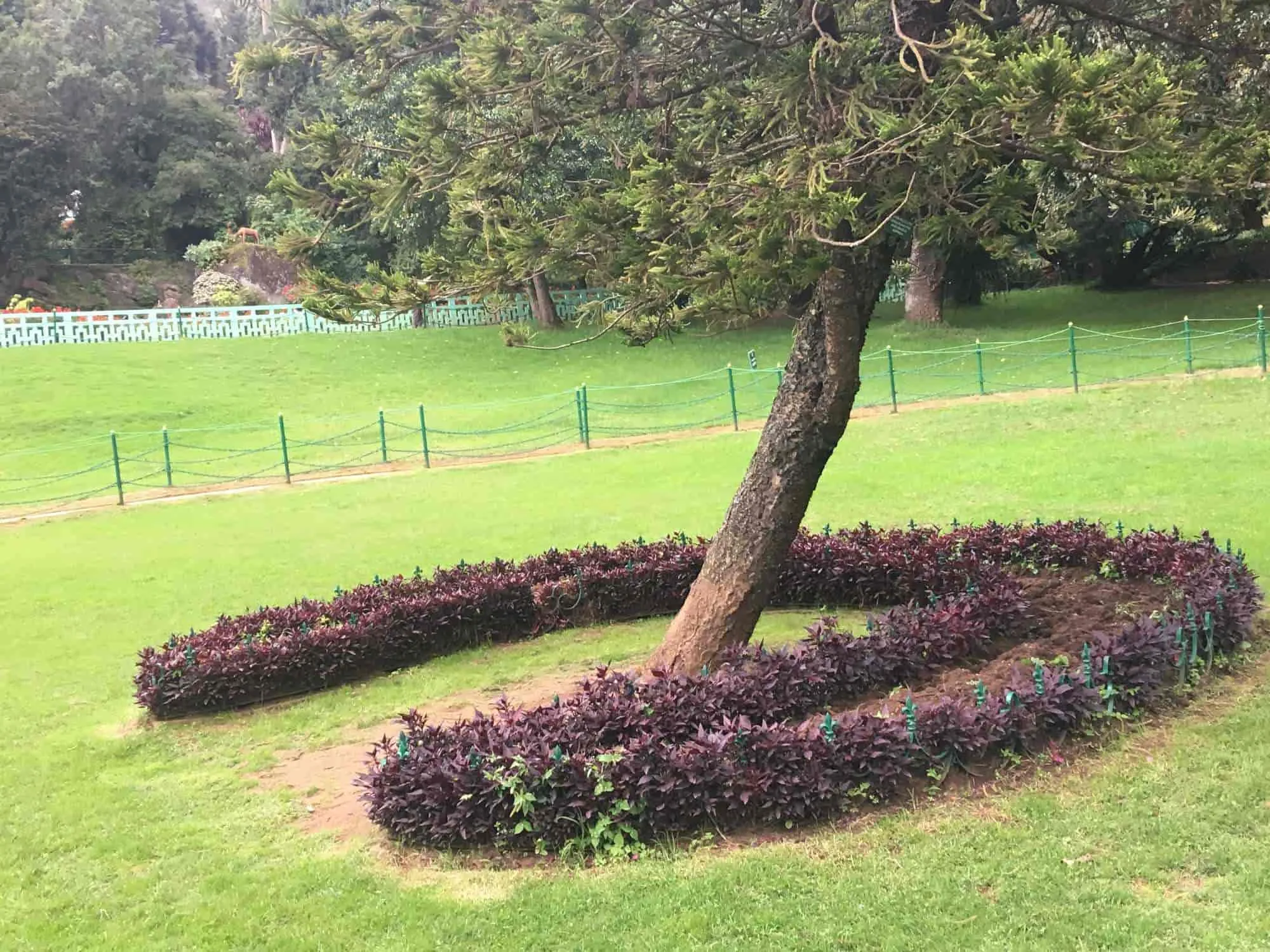 Image of: Pandi Garden Home In Madurai