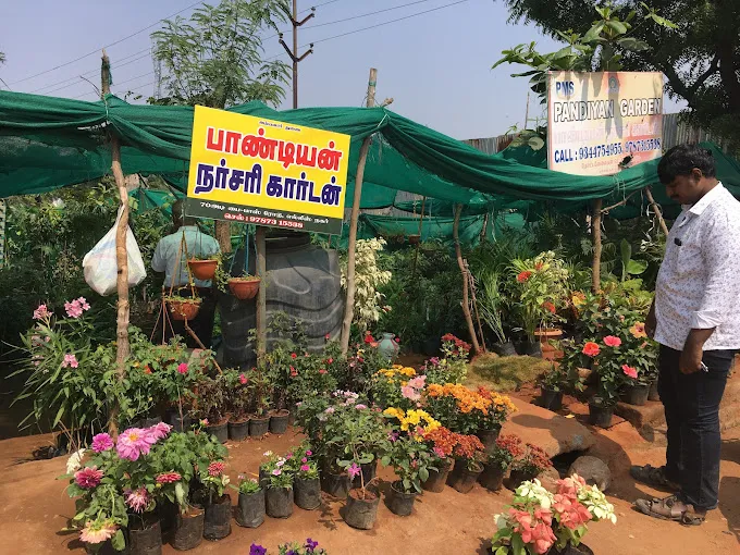 Image of: Pandiyan Nursery Garden In Ellis Nagar