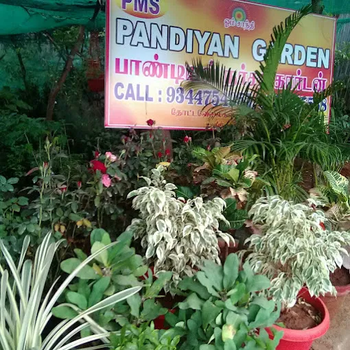 Image of: Pandiyan Nursery Garden In Ellis Nagar 5