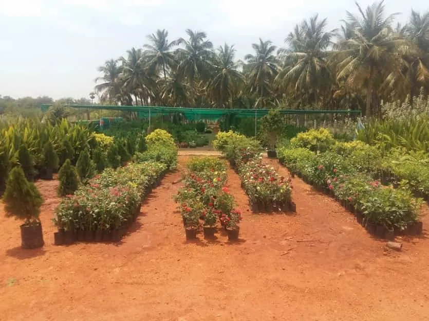 Image of: Raja Kannan Garden In Madurai