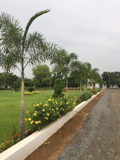 Image of: Roja Nursery Garden In Madurai