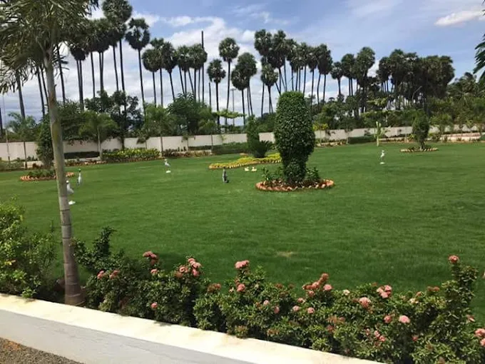 Image of: Roja Nursery Garden In Madurai