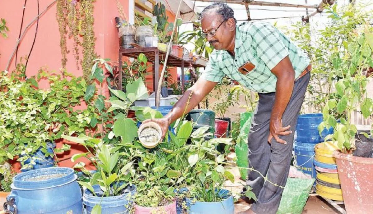 Image of: Sadaiyandiyath Thevar Garden In Madurai