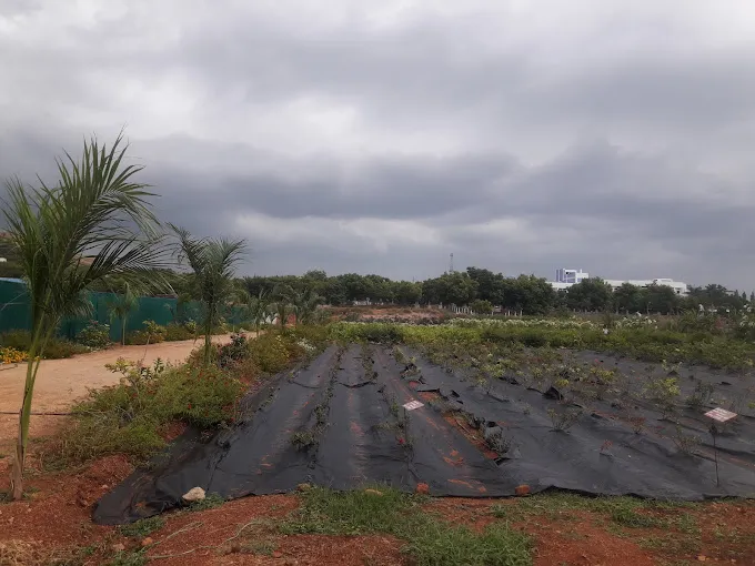 Image of: State Horticulture Garden In Thiruparankundram
