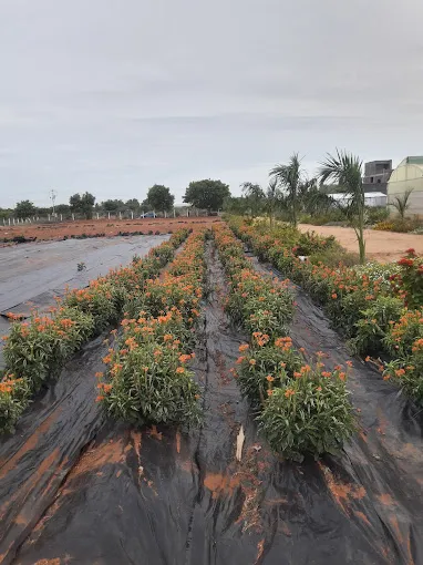 Image of: State Horticulture Garden In Thiruparankundram 2