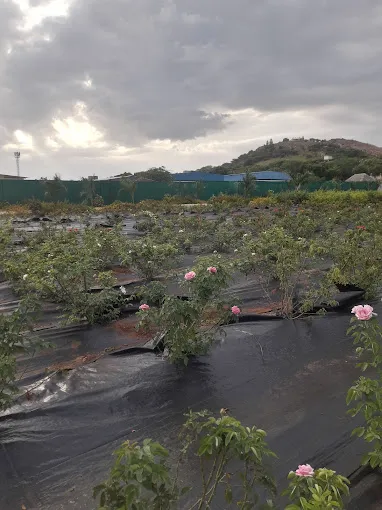 Image of: State Horticulture Garden In Thiruparankundram 3