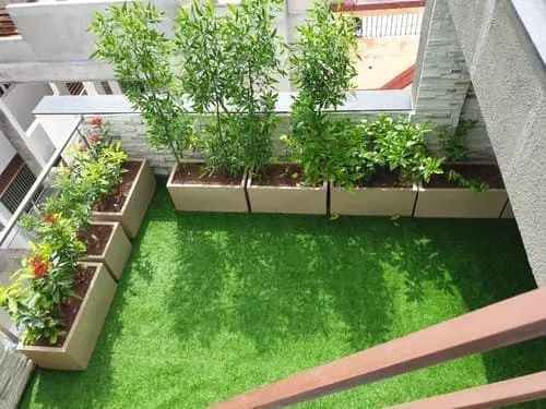 Image of: Terrace Gardening In Madurai