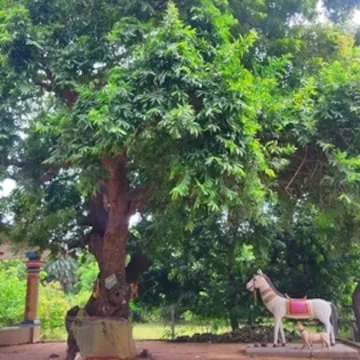 Image of: Veera Garden In Madurai