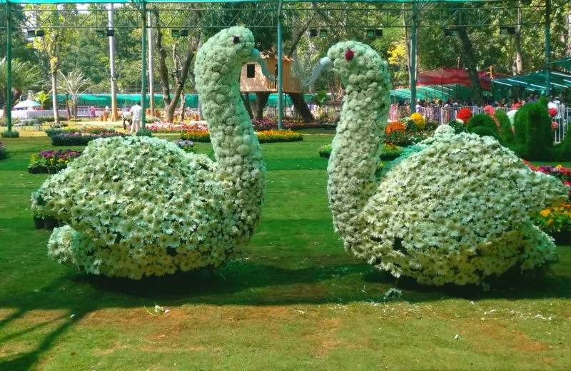 Image of: Vidhyas Gardens In Madurai