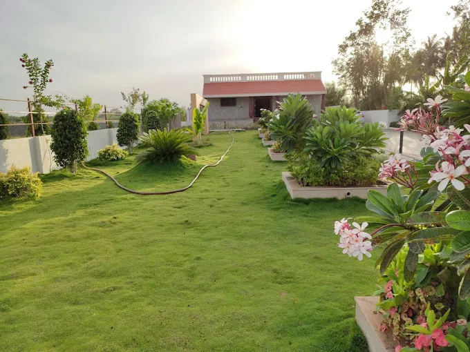 Image of: Vivek Nursery Garden In Madurai