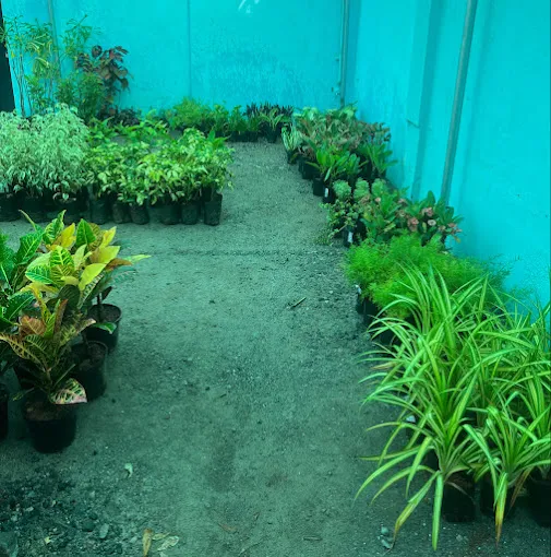 Image of: Vm Nursery Garden In Anna Nagar