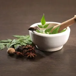 Image of: Ganapitha Siddha And Ayurveda Clinic in Ponmeni