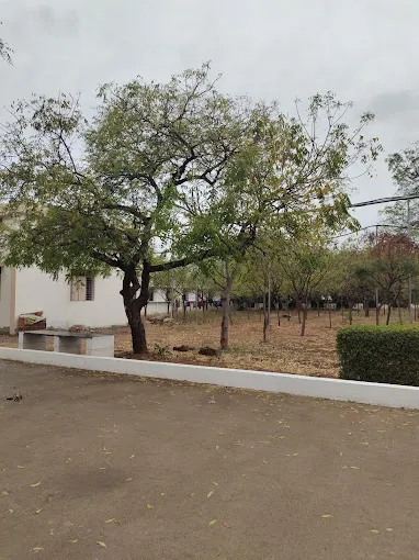 Image of: Government Hospital For Thoracic in Madurai