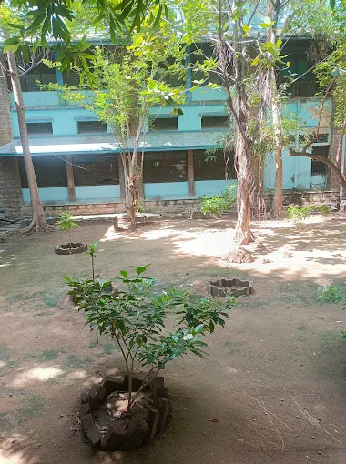 Image of: Government Rajaji Hospital Casualty in Alwarpuram