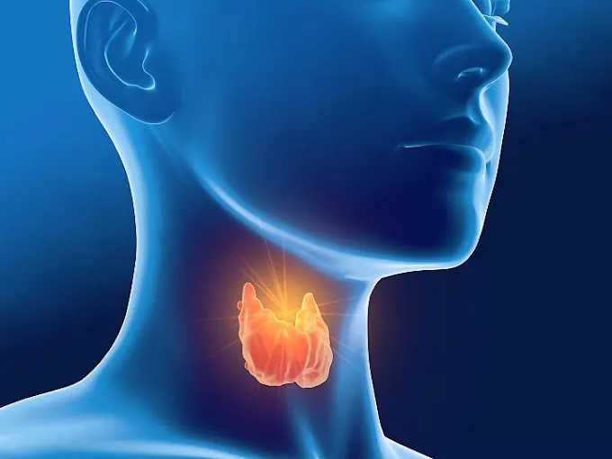 Image of: Jj Interventional Radiology Centre in Anna Nagar