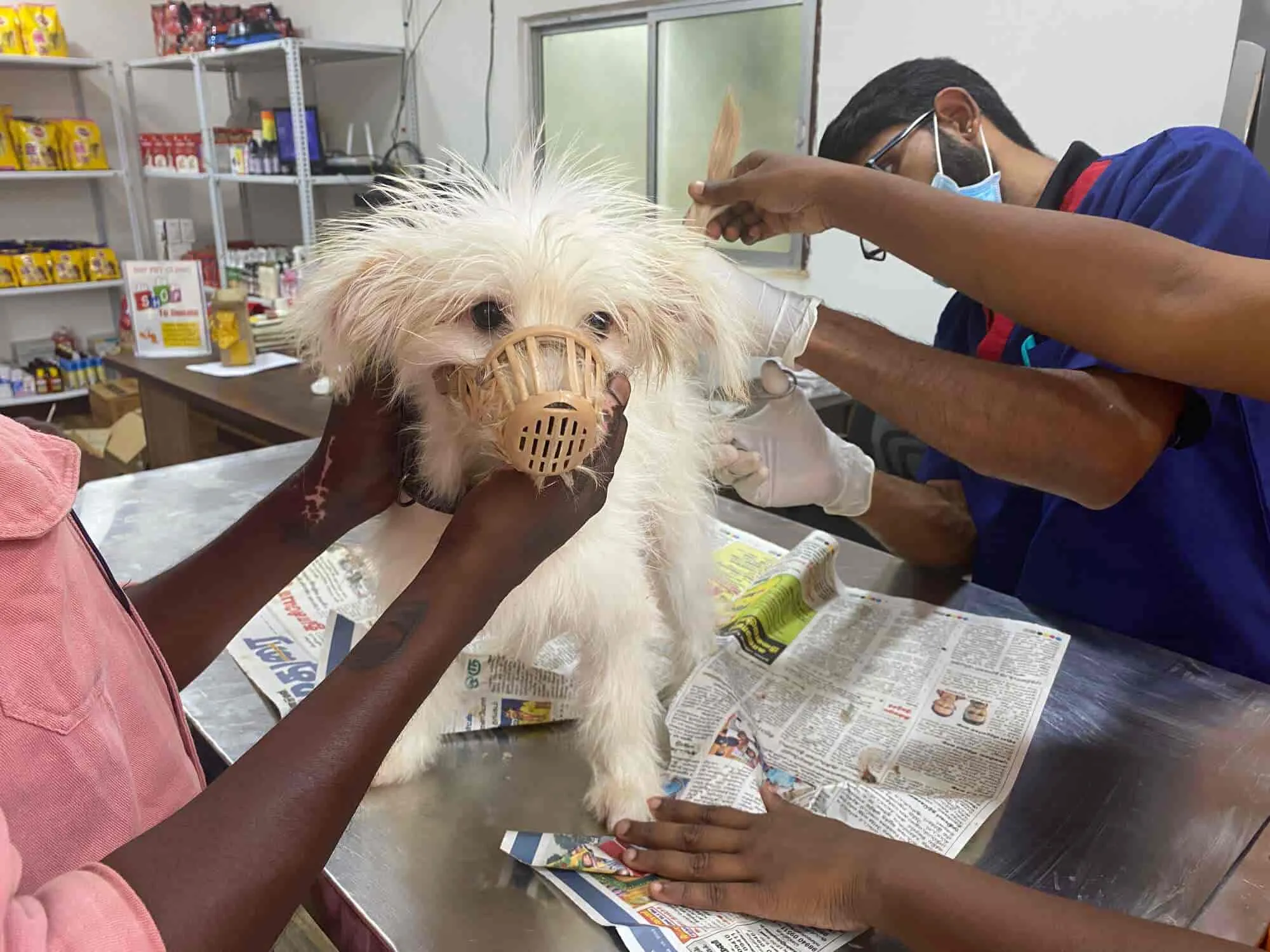 Image of: Veterinary Hospital in Karuppayurani