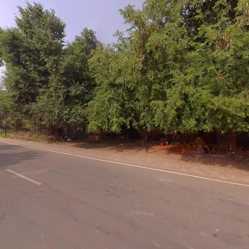 Image of: Hotel Jungle Stay in Thiruparankundram 2