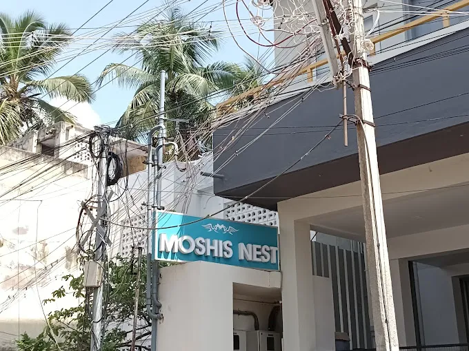 Image of: Moshis Nest in Anna Nagar 2