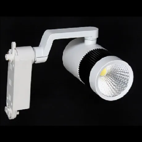 Image of: Aslaan Led Lights In Mahal 3