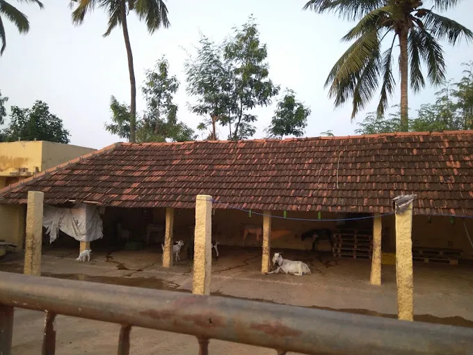 Image of: Apm Farms In Madurai