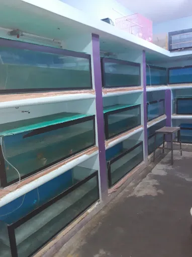 Image of: Arjun Fish Farm In Madurai 2