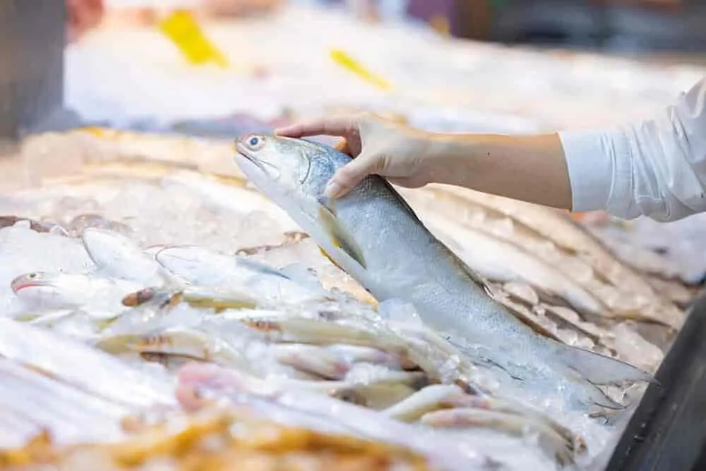 Image of: Asf Fish Stall In Madurai