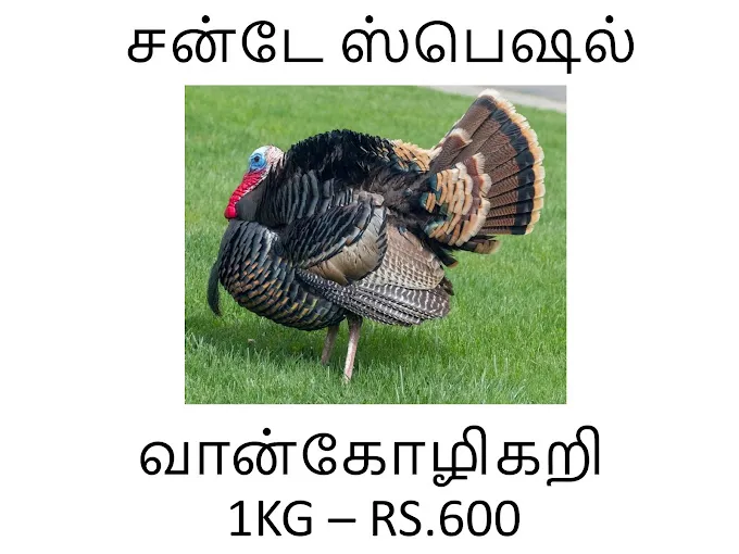Image of: Baghya Broiler And Fish Stall In Madurai 5