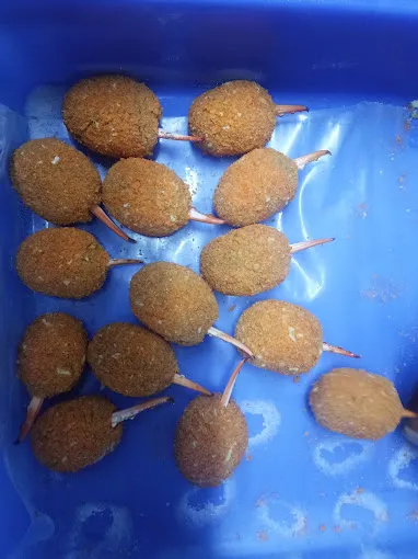 Image of: Blueway Sea Foods In Madurai