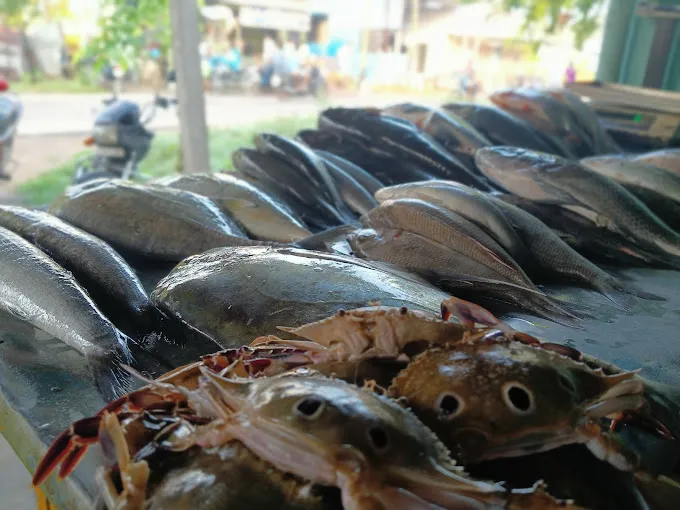 Image of: Chairman Fish Shop In Madurai 3