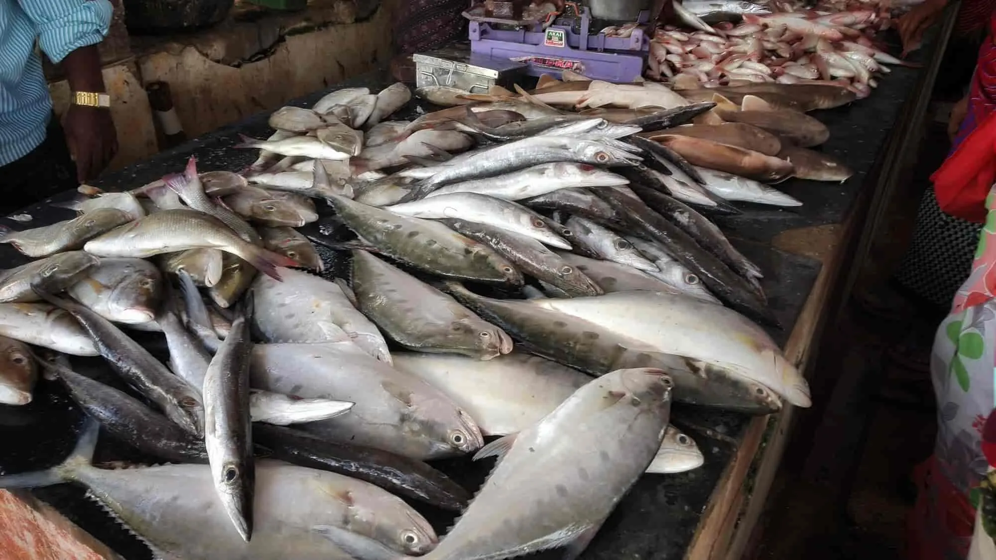 Image of: Chop Serve In Anna Nagar