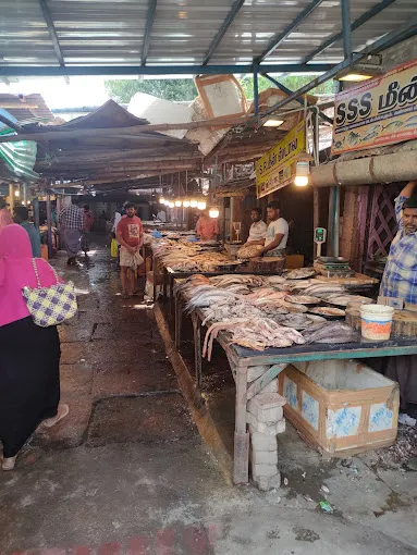 Image of: Fish Market In Madurai 3