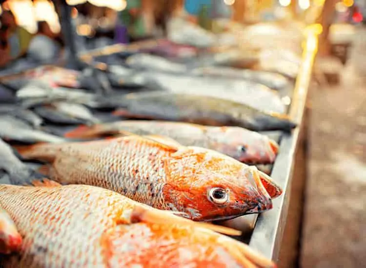 Image of: Fish N Meat Fresh In Vilangudi