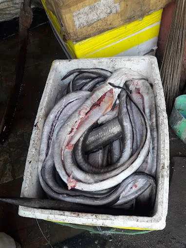 Image of: Fish O Fish In Anna Nagar 2