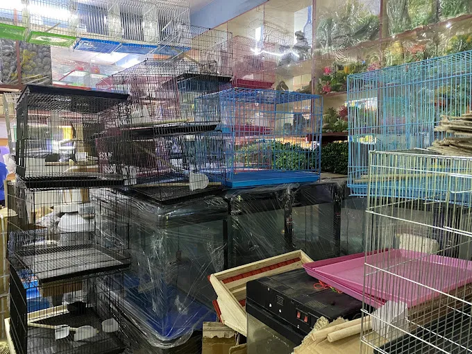 Image of: Grammathu Santhai Chick N Fish In Vilangudi 7