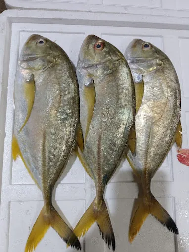 Image of: Grand Pms Fish Market In Madurai