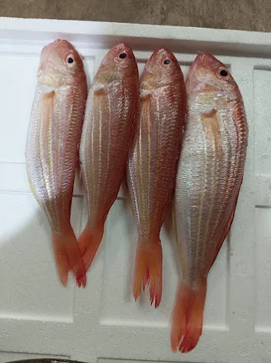 Image of: Grand Pms Fish Market In Madurai 2