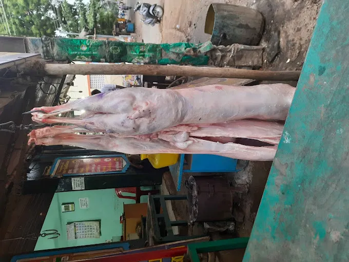 Image of: Ismail Mutton Stall In Madurai