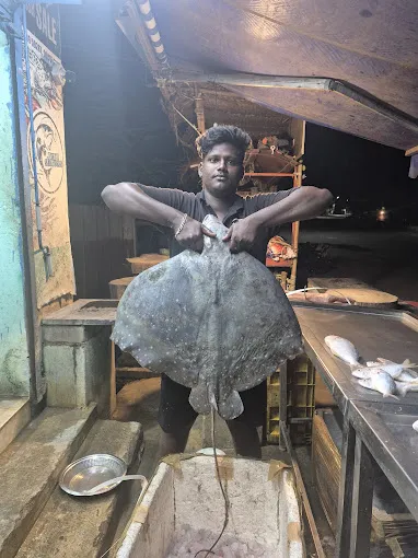 Image of: Jayam Sea Foods In Iyer Bungalow