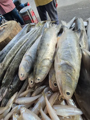 Image of: Jayam Sea Foods In Iyer Bungalow 3