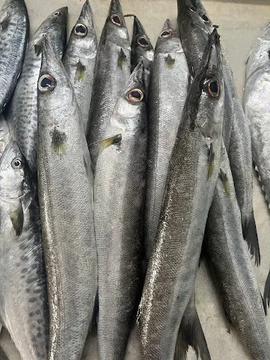Image of: Kannika Fish Mart In Madurai