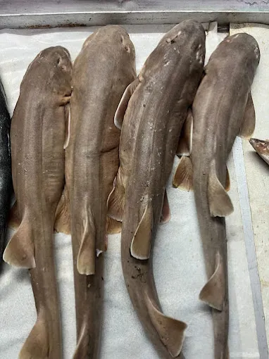 Image of: Kannika Fish Mart In Madurai 2