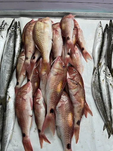 Image of: Kannika Fish Mart In Madurai 3
