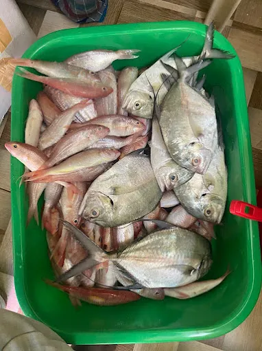 Image of: Ma Seafoods Online Fish Store In Madurai 3